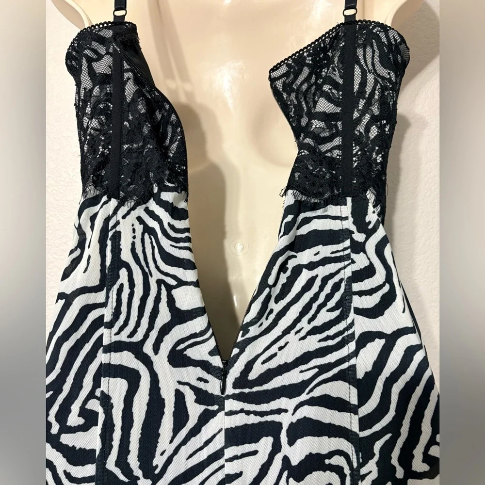 Mesh Body con Semi Sheer Black White Zebra Print Dress w Bustier Type Lace Top - Picture 8 of 13